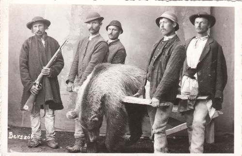 Borszéki erdőben(Kupás havasok)) lelőtt medve haza szállitása, bocskorban. 1903