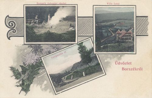 Borszék:Szini villa,Ősforrás részlet és szerpentin út.1906